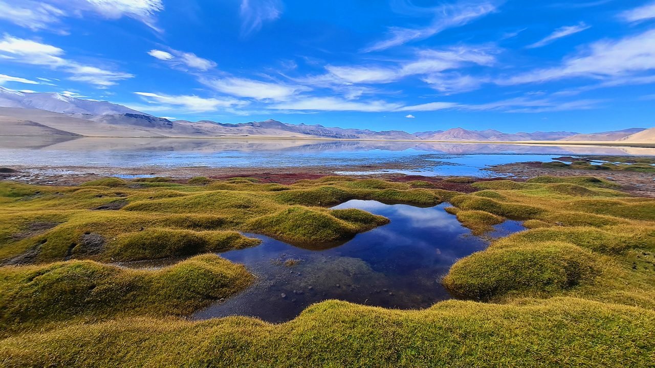 Changthang wildlife sanctuary, Ladakh.